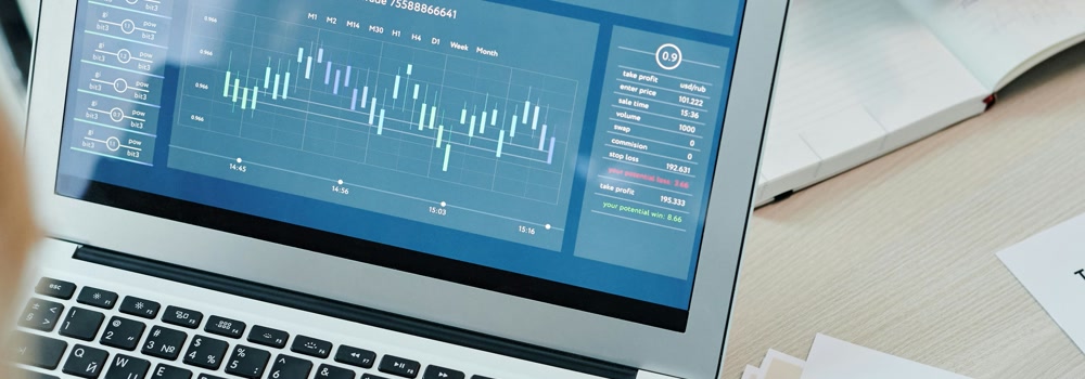 Audit and financial analytics service